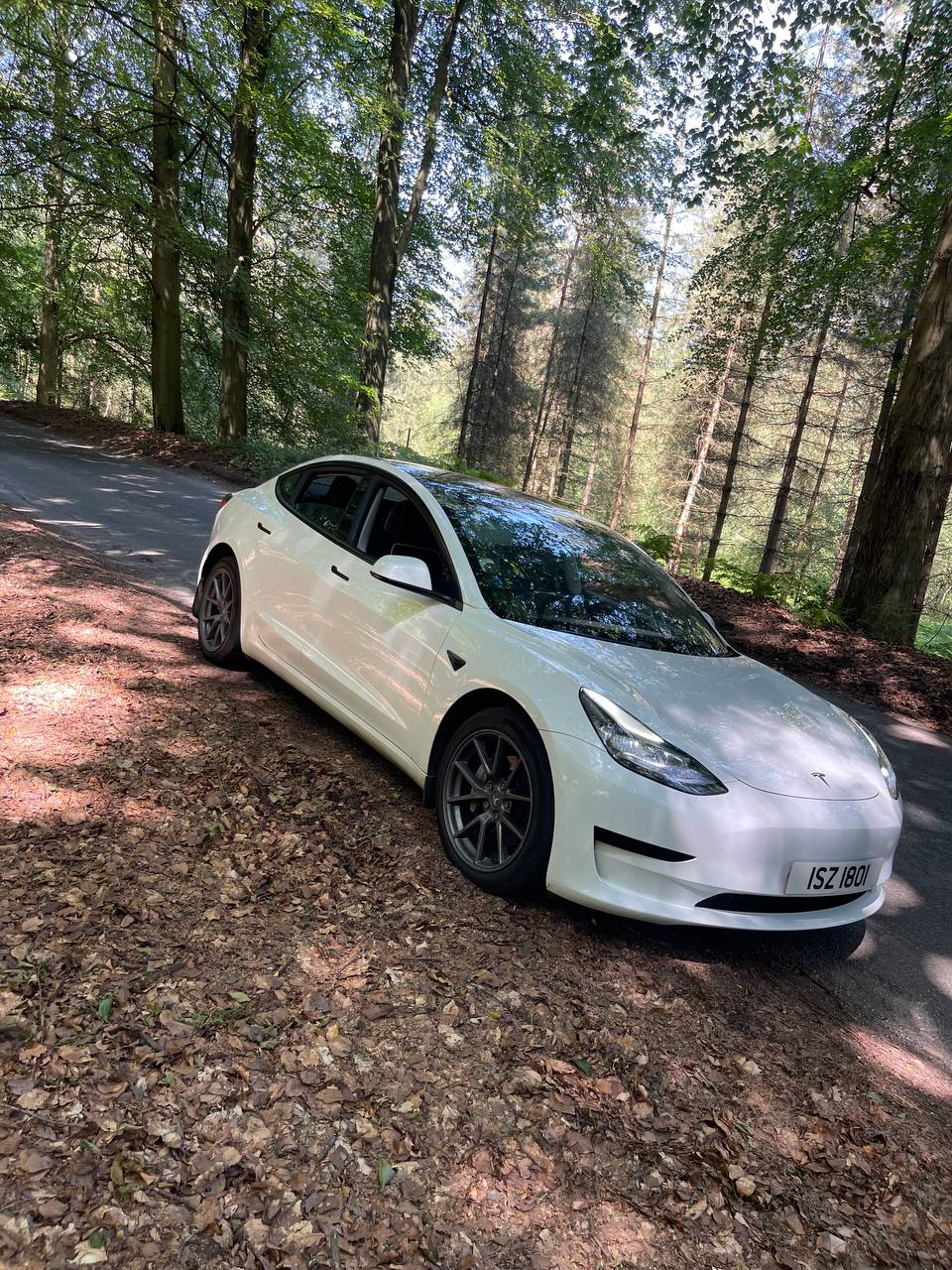 White Tesla Model 3 on a forest road